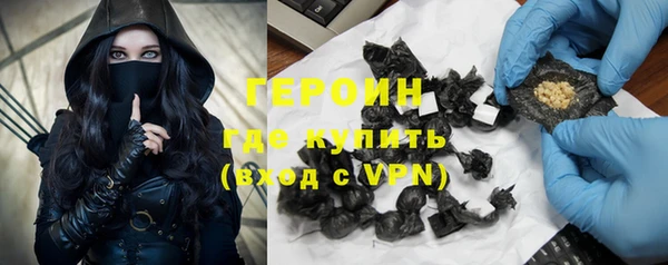 индика Гусев