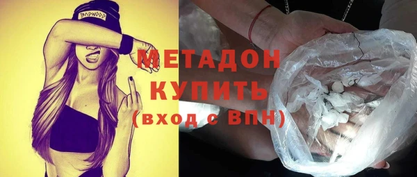 индика Гусев