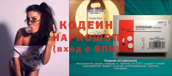 индика Гусев