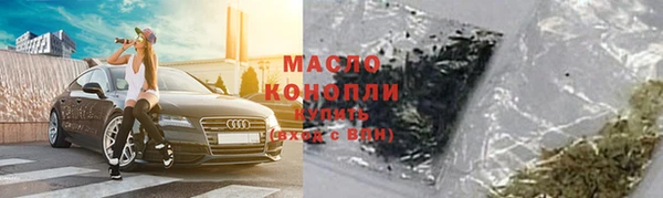 индика Гусев