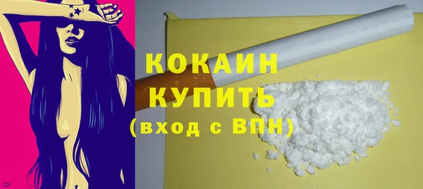 индика Гусев