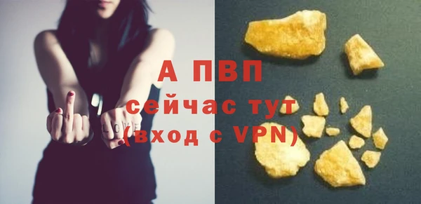 индика Гусев