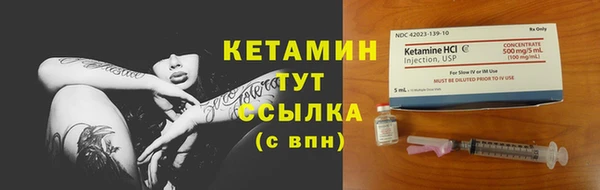 индика Дмитровск