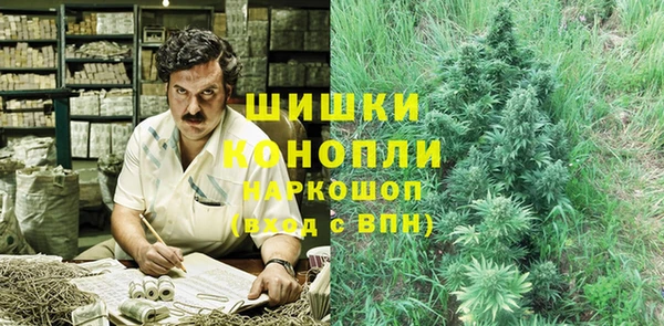 mix Гусиноозёрск