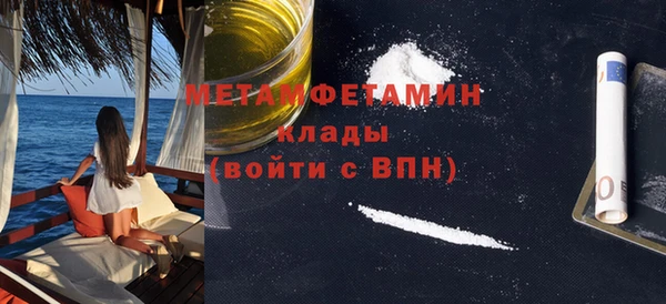 индика Гусев