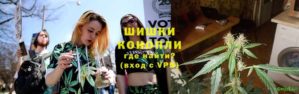 индика Гусев