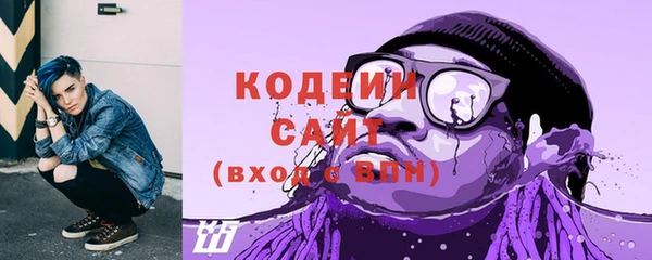 индика Гусев